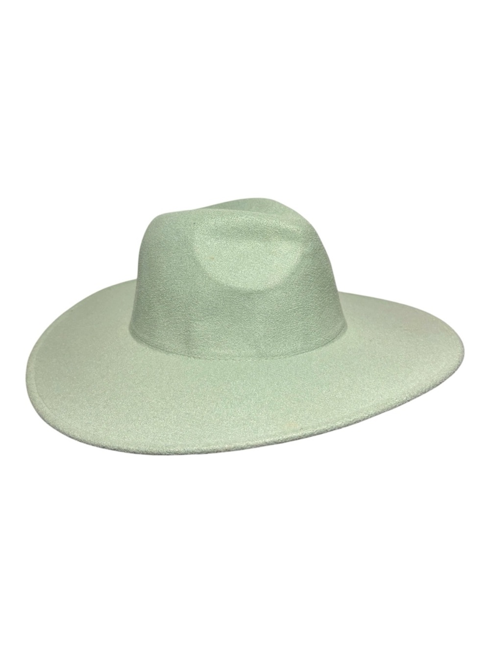 ANTHROPOLOGIE Wide Brim Wool Fedora Hat in Pale Mint